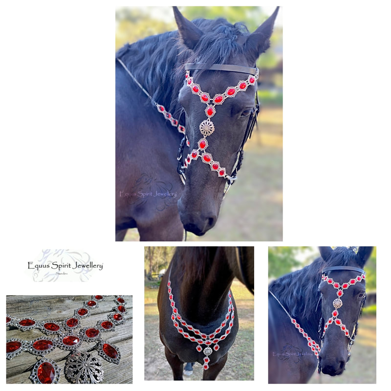 KY DERBY Horse Racing Memorabilia -- Riding with Barbaro Bracelets | eBay